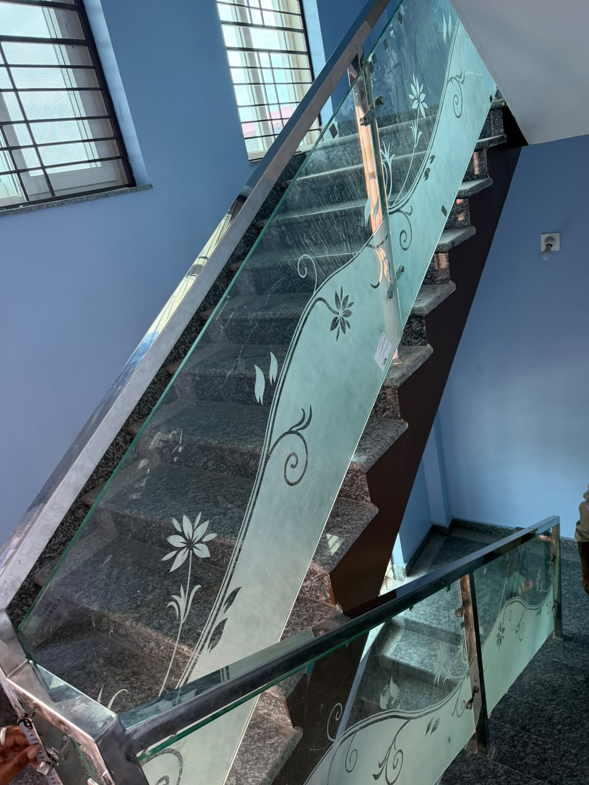 Glass ladder railing